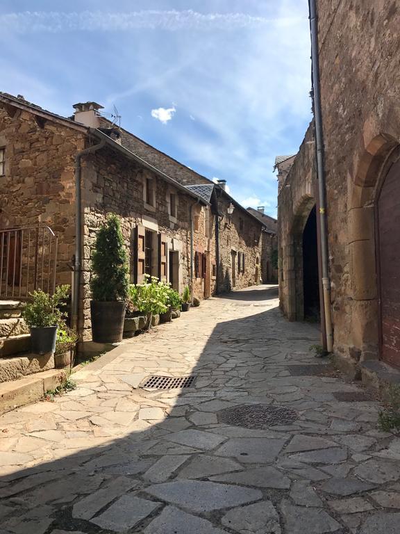 La Petite Maison Des Artistes Castelnau-Pégayrols Kamer foto