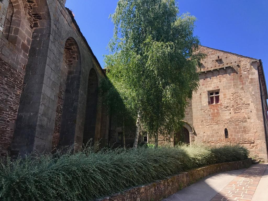 La Petite Maison Des Artistes Castelnau-Pégayrols Kamer foto