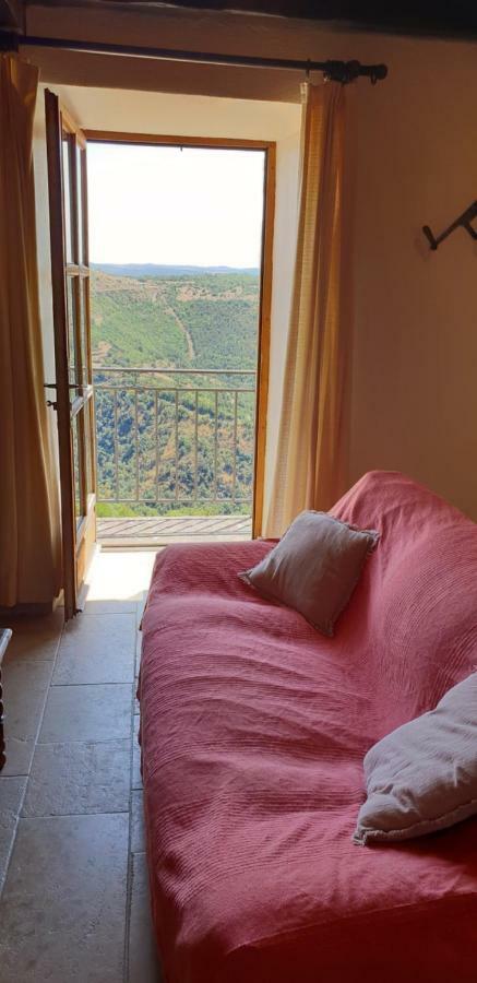 La Petite Maison Des Artistes Castelnau-Pégayrols Buitenkant foto