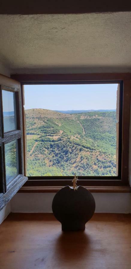 La Petite Maison Des Artistes Castelnau-Pégayrols Buitenkant foto